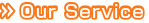 Our Service